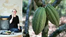 Chocolate: From Sacred Food to Modern Treat