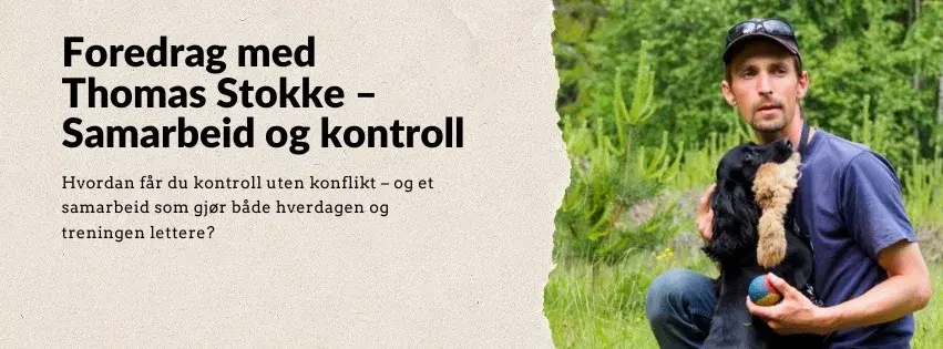 Webinar med Thomas Stokke – Samarbeid og kontroll