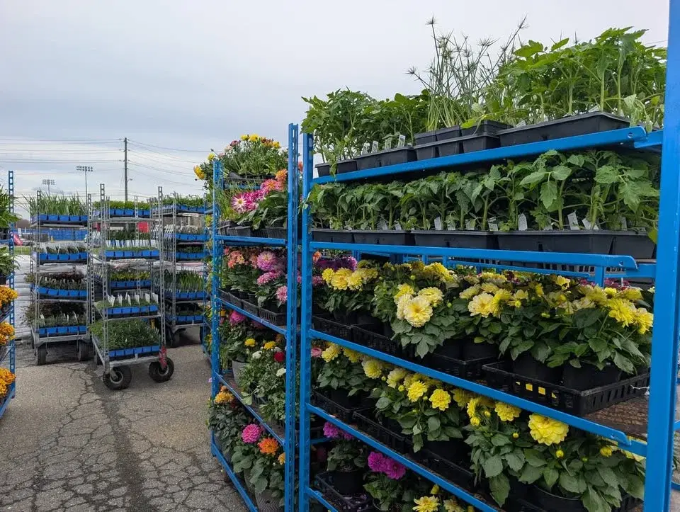 Second Chance Plants TIMONIUM, MD - Grand Opening Weekend