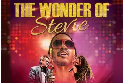 THE WONDER OF STEVIE