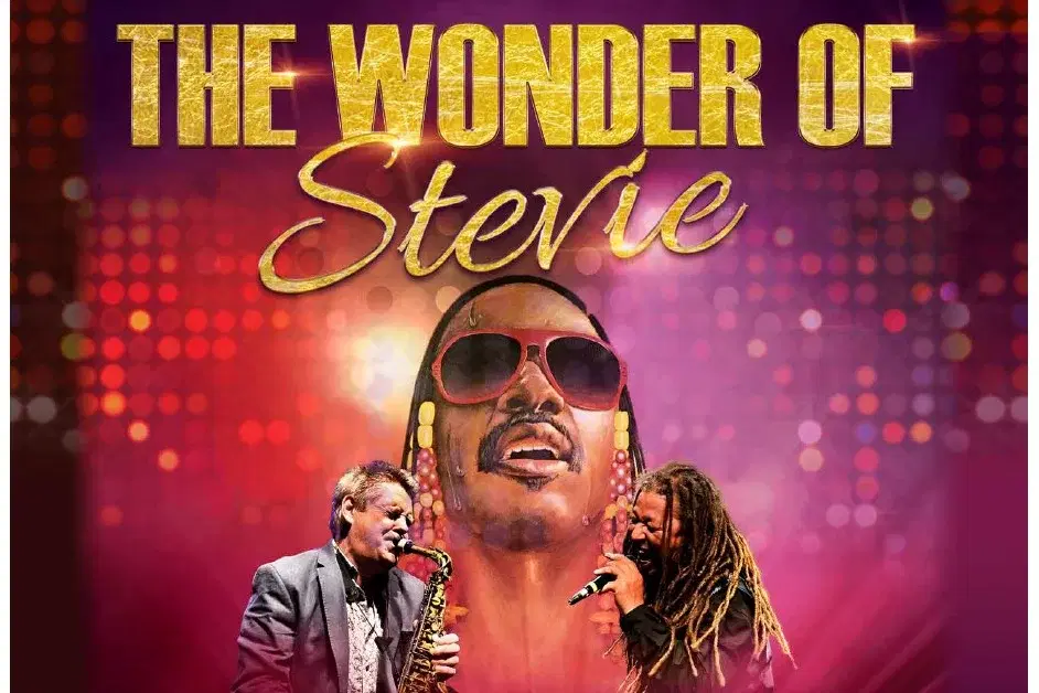 THE WONDER OF STEVIE