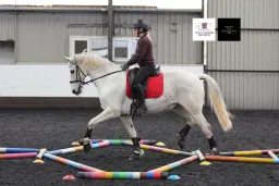 Polework clinic at Swallowfield EC