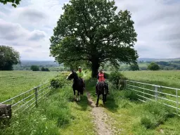 Linacre Lanes 5 PLACES LEFT