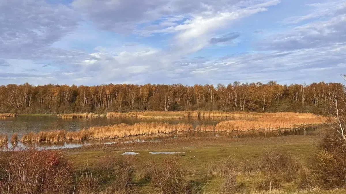 Vandretur på Amarmino: Dragør - DR Byen (27 km)